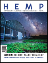 Load image into Gallery viewer, Issue #8